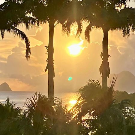 Superbe Studio Martinique Vue Rocher Du Diamant Sainte-Luce Extérieur photo