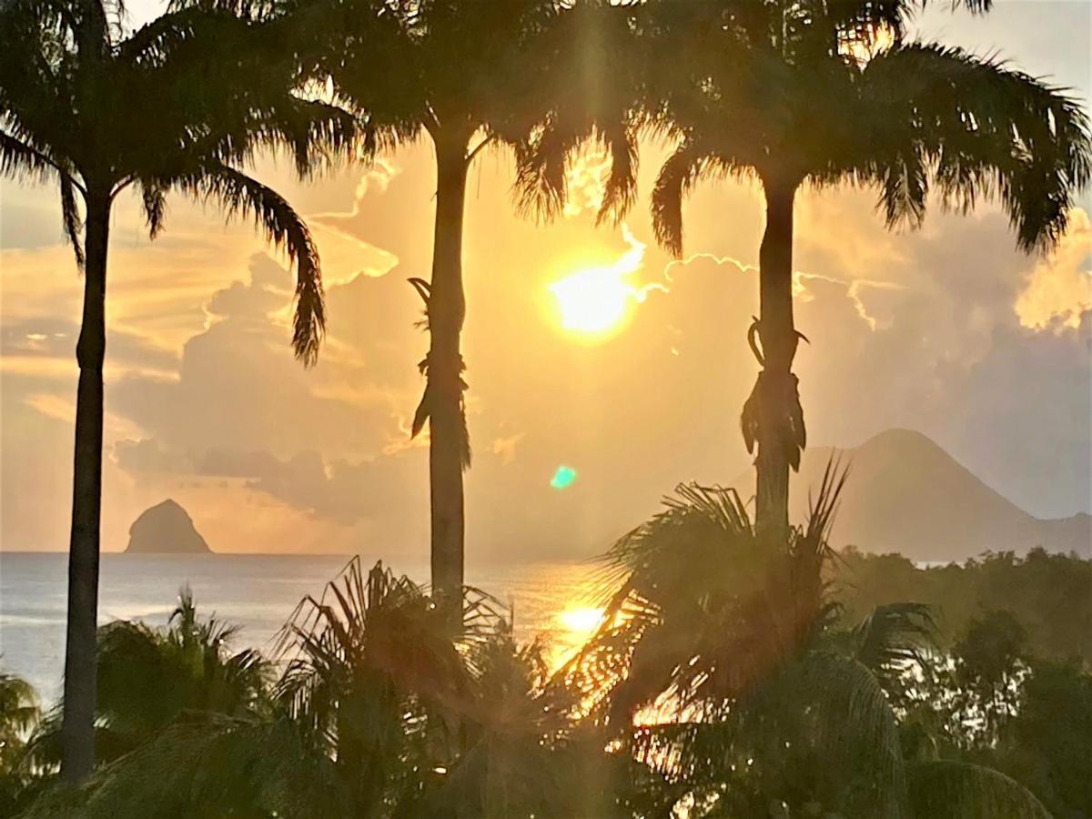 Superbe Studio Martinique Vue Rocher Du Diamant Sainte-Luce Extérieur photo